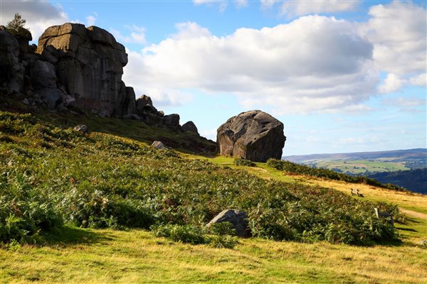 Cow and Calf Ilkley
